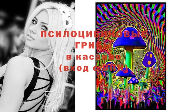 стаф Ладушкин