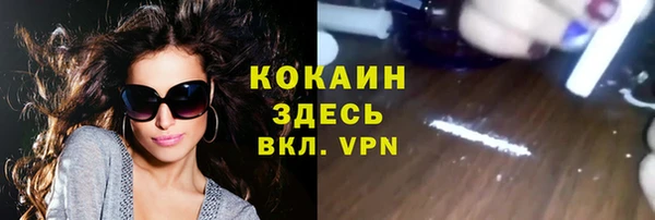 стаф Ладушкин