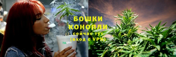 метадон Лагань