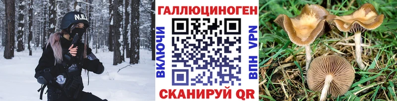 Псилоцибиновые грибы ЛСД  блэк спрут ТОР  Шатура  где найти наркотики 