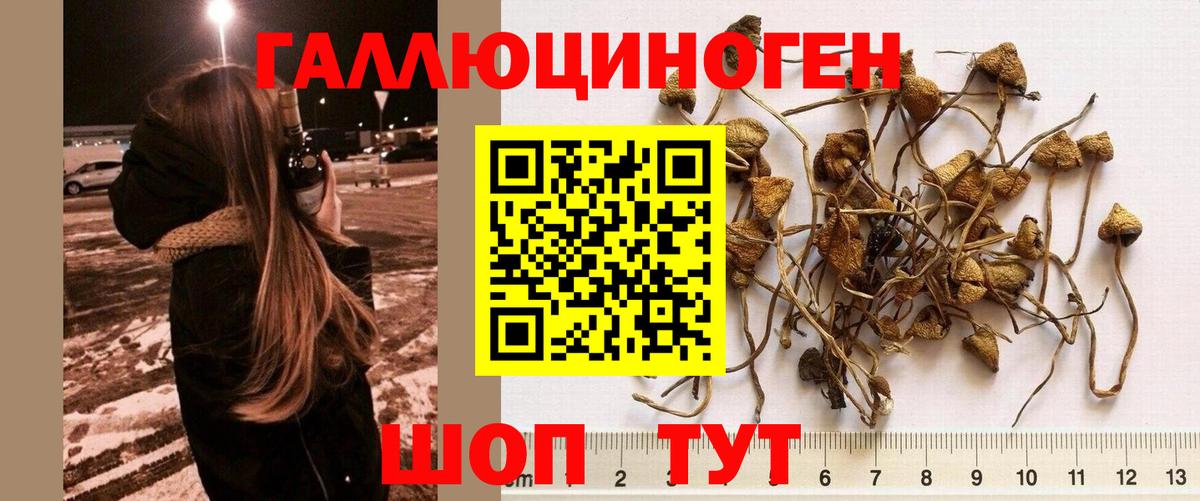 Галлюциногенные грибы мицелий Шатура