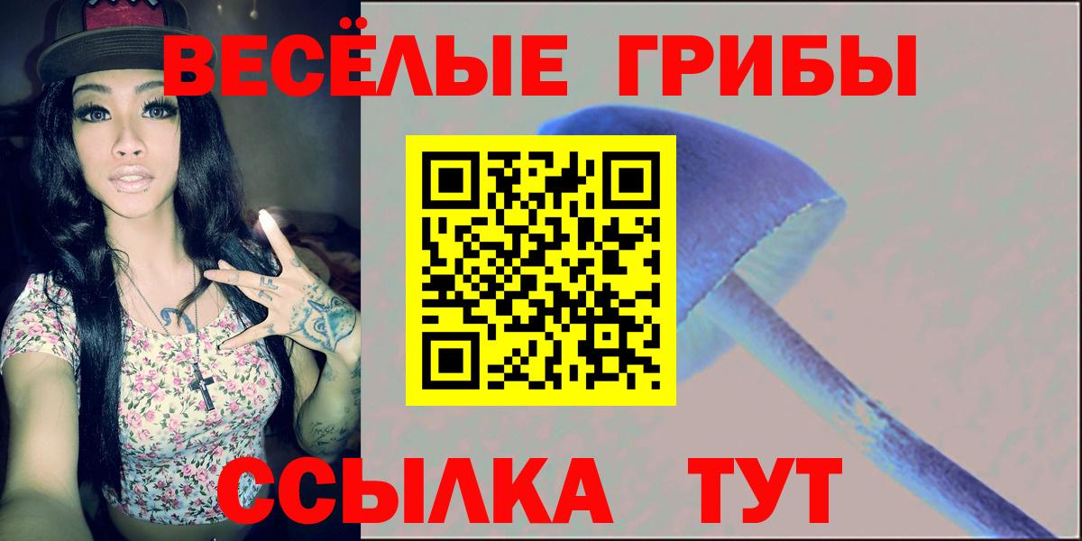 Псилоцибиновые грибы ЛСД  Галлюциногенные грибы мицелий  Шатура 