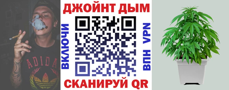 Шишки марихуана план  Шатура 