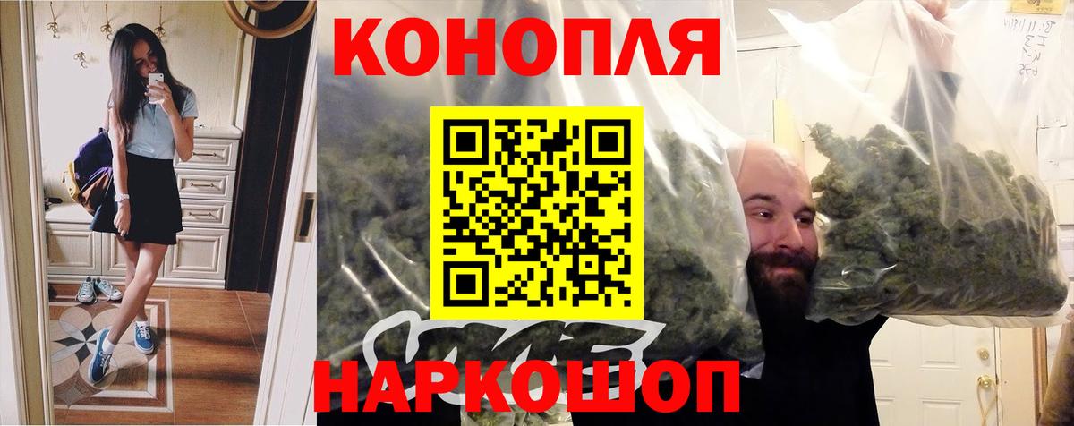 МАРИХУАНА гибрид Шатура